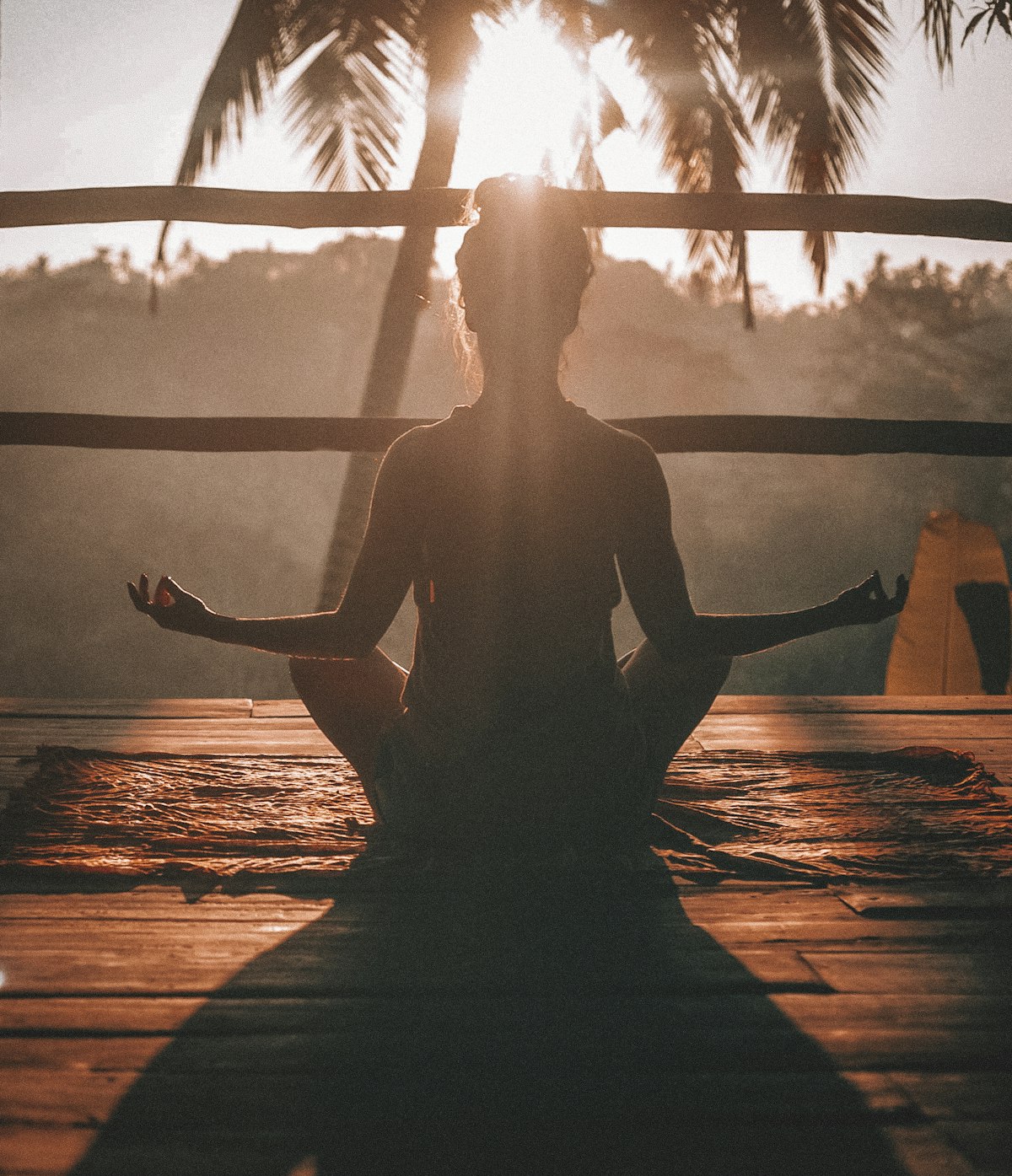 Reimagining Joint Health: A New Era for Active Aging